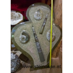 Fossile Skulptur Ammoniten & Orthoceras